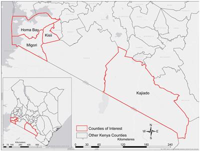 The feasibility and impact of deploying a four-tests panel at antenatal care in primary health care facilities of a developing country, Kenya